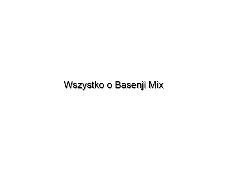 Wszystko o Basenji Mix