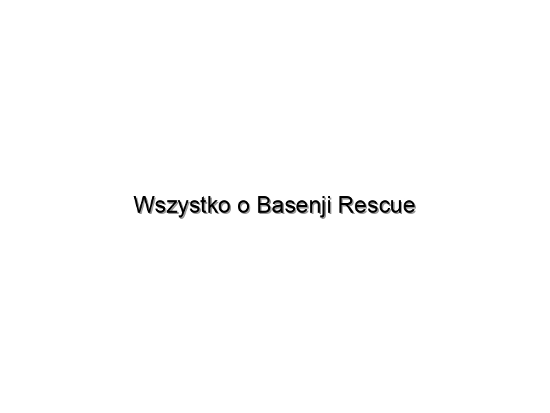 Wszystko o Basenji Rescue