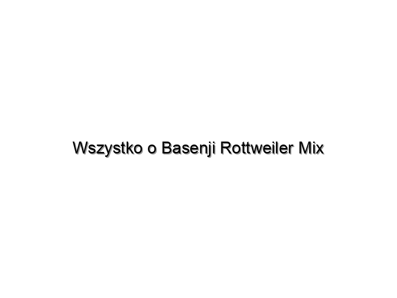 Wszystko o Basenji Rottweiler Mix