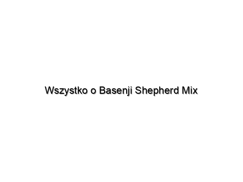 Wszystko o Basenji Shepherd Mix
