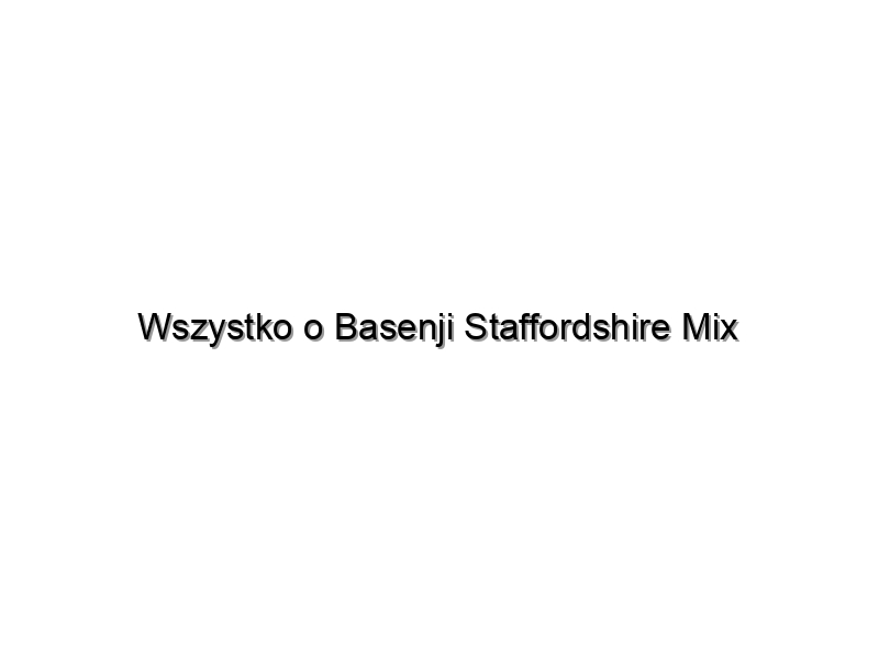 Wszystko o Basenji Staffordshire Mix