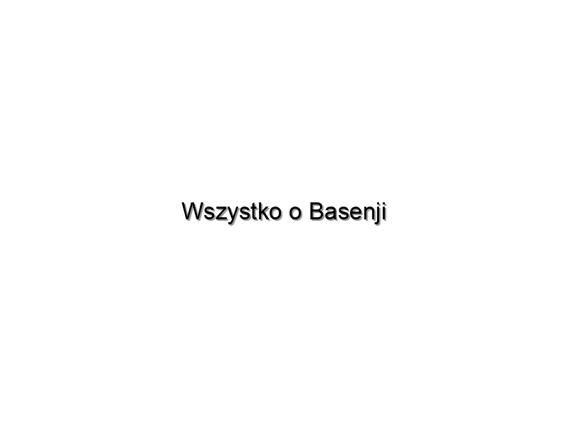 Wszystko o Basenji