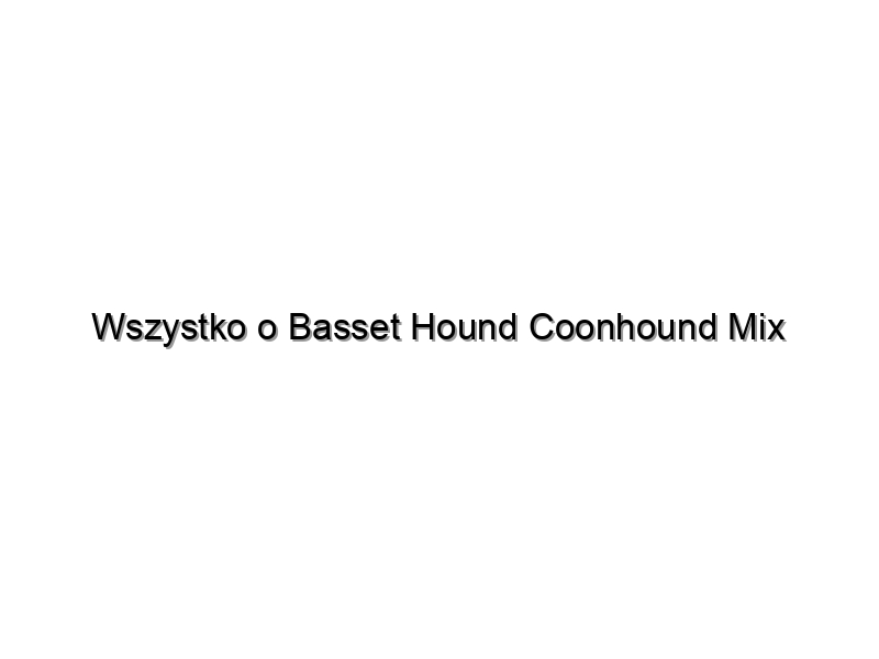 Wszystko o Basset Hound Coonhound Mix
