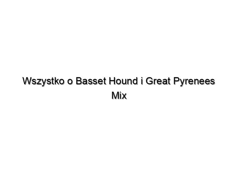 Wszystko o Basset Hound i Great Pyrenees Mix