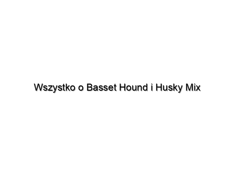Wszystko o Basset Hound i Husky Mix