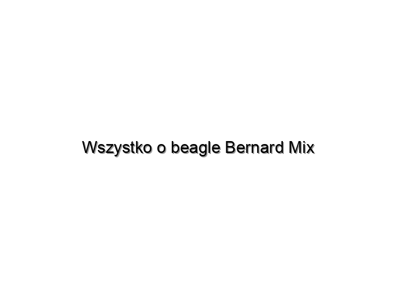 Wszystko o beagle Bernard Mix