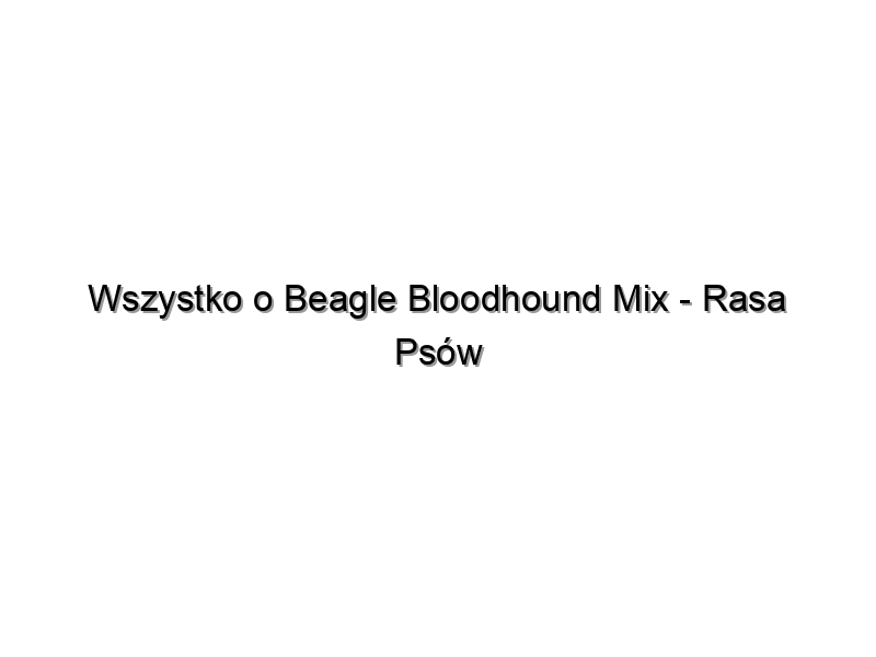 Wszystko o Beagle Bloodhound Mix – Rasa Psów