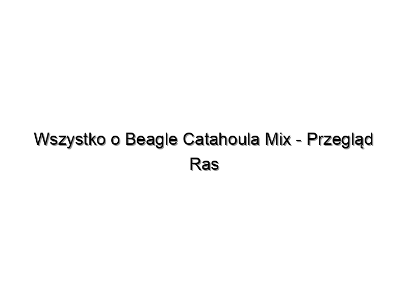 Wszystko o Beagle Catahoula Mix – Przegląd Ras Psów