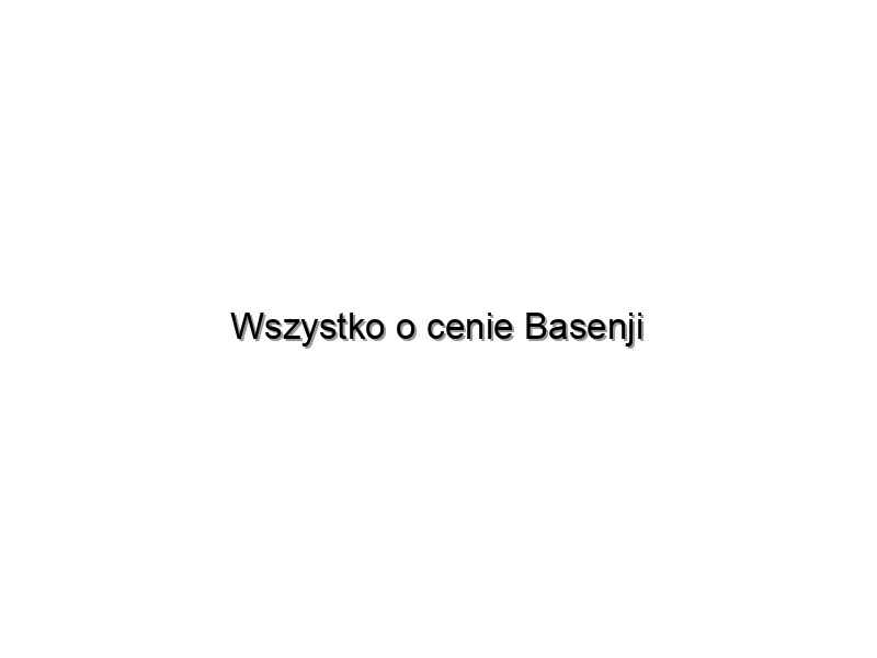 Wszystko o cenie Basenji